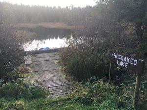 Knockakeo Lake in forestry area near Dungourney