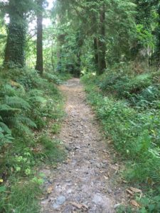 Castleblagh, Weg mit ein bisschen Steigung durch den Wald