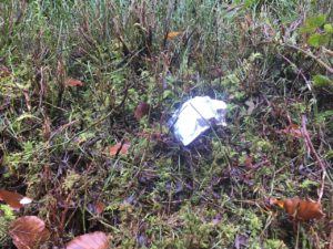 Leave no trace, dumping in recreation areas