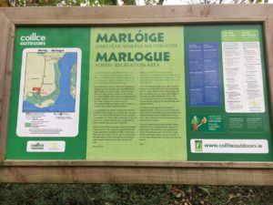 Marlogue forest, overview