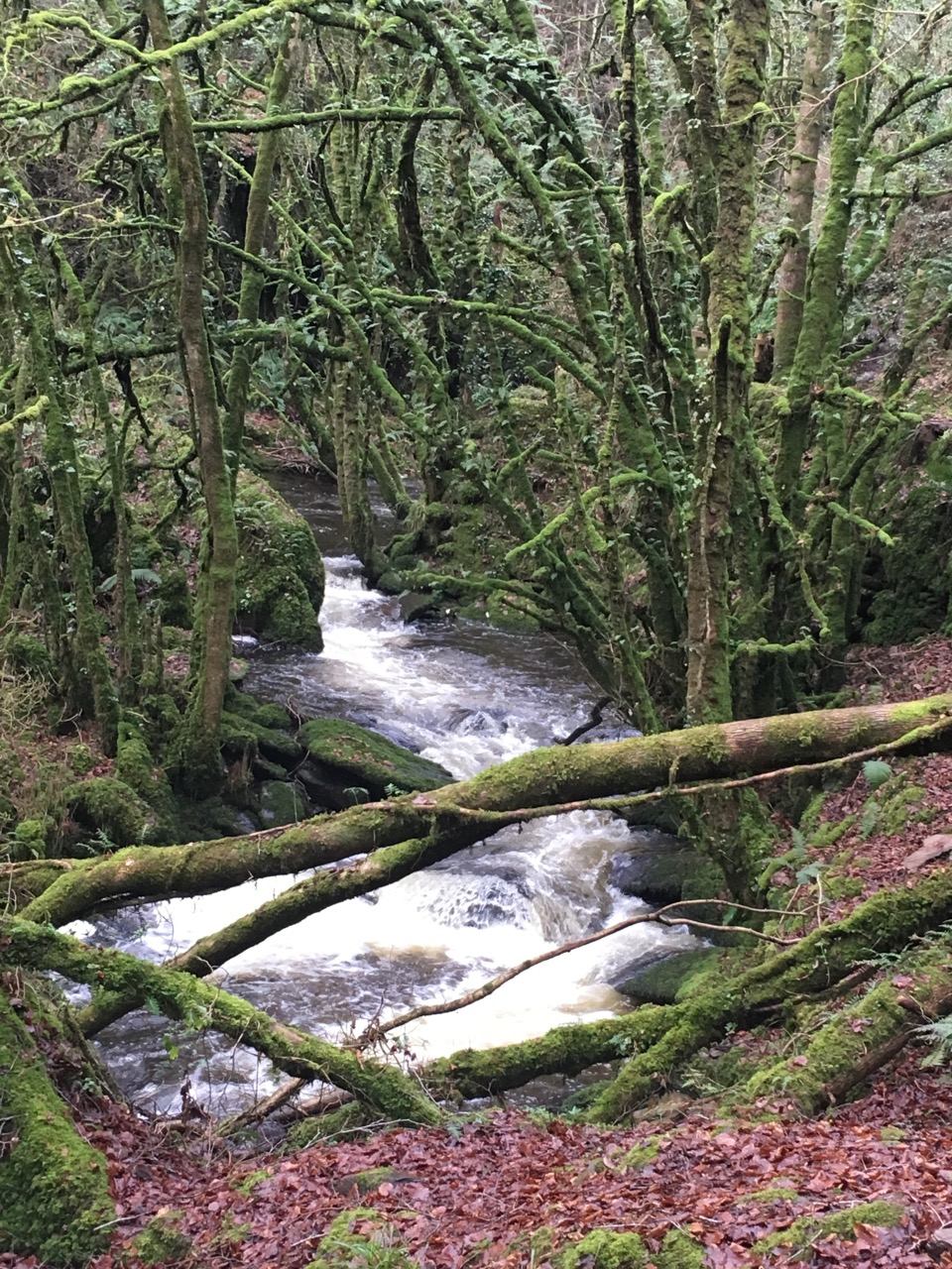 Waterfalls in Co. Cork, No. 1 – Cork Walks and Hikes