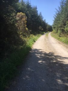 Knockananig Reserve, walking trail